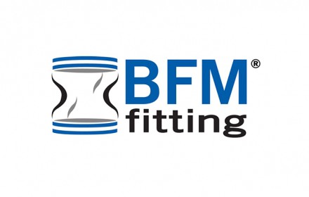 Information BFM Fitting